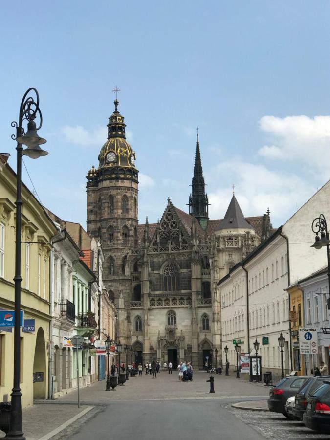 Big modern doubleroom near Cathedral Košice Buitenkant foto